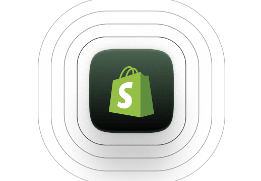 Shopify development