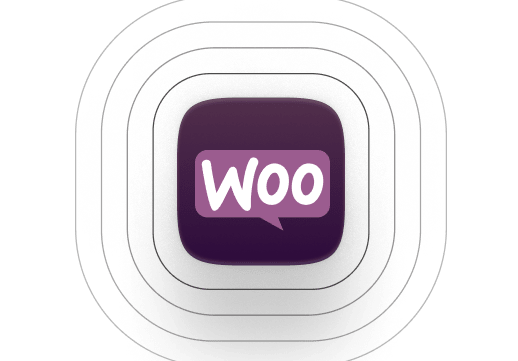 Woo commerce development