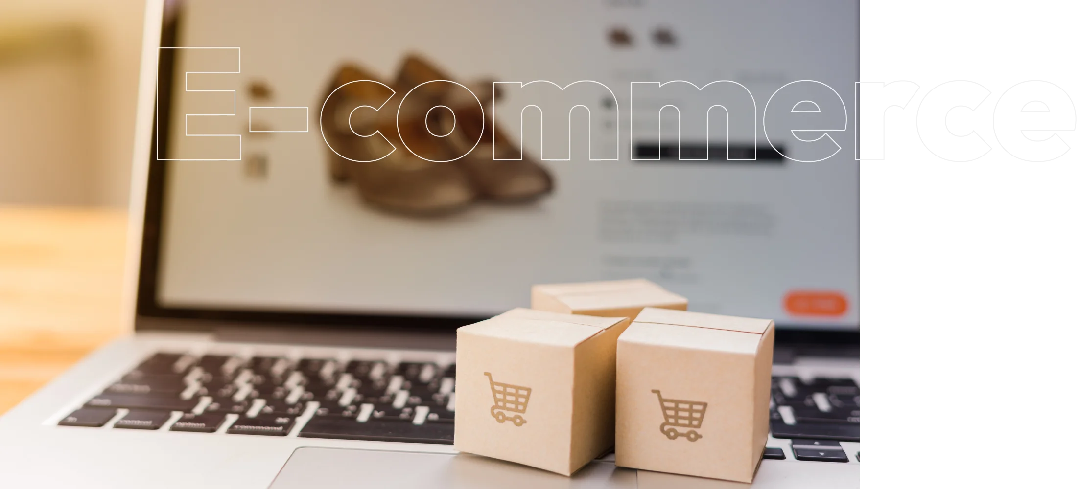 Evoqins a software development company - Ecommerce Development